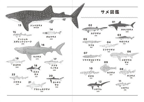 ほぼ命がけサメ図鑑 これが世界でただ一人 サメ専門ジャーナリスト